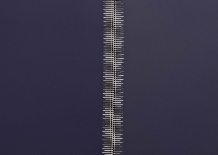 SW